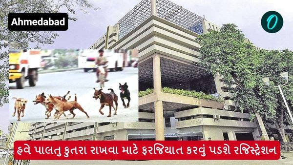Ahmedabad: હવે પાલતુ કુતરા રાખવા માટે ફરજિયાત કરવું પડશે રજિસ્ટ્રેશન