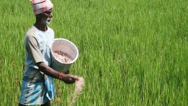 Farmers Day 2024: ખેડૂતો માટે ભારતની 5 સરકારી યોજના, જાણો સૌથી વધુ ફાયદો ક્યા મળશે