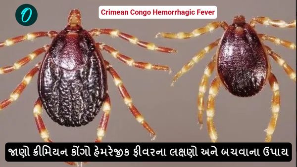જાણો ક્રીમિયન કોંગો હેમરેજીક ફીવરના લક્ષણો અને બચવાના ઉપાય