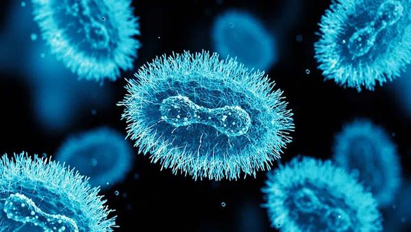 HMVP virus : ચીનમાં ફેલાઈ રહ્યો છે કોરોના જેવો જ વાયરસ, જાણો દુનિયા માટે કેટલો ખતરનાક?