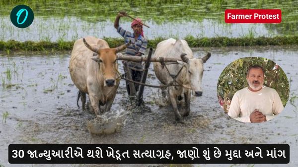 30 જાન્યુઆરીએ થશે ખેડૂત સત્યાગ્રહ, જમીન માપણી રદ્દ કરવા યોજાશે સંમેલન