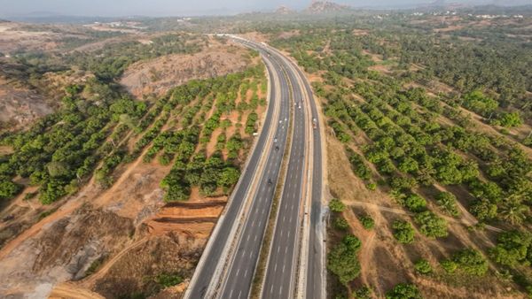 હાઈવે પર રસ્તા વચ્ચે કેમ લગાવાય છે છોડ? મોટાભાગના લોકો આનું કારણ નથી જાણતા