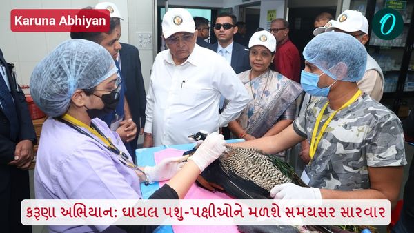 કરૂણા અભિયાન: ઘાયલ પશુ-પક્ષીઓને મળશે સમયસર સારવાર, સરકારની પહેલ