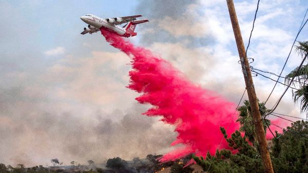 Los angeles wildfire : શું છે પિંક લિક્વિડ? જાણો કેવી રીતે તેનાથી લોસ એન્જલસની આગ પર કાબુ મેળવાઈ રહ્યો છે?