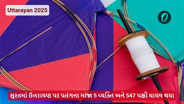 Uttarayan 2025: સુરતમાં ઉત્તરાયણ પર પતંગના માંજા 5 વ્યક્તિ અને 547 પક્ષી ઘાયલ થયા
