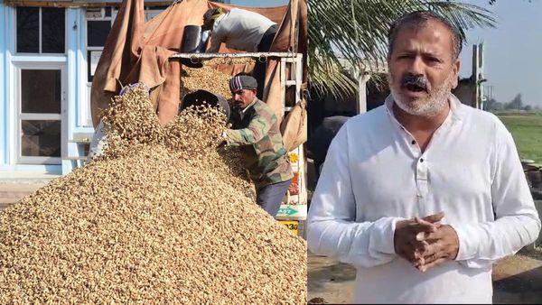 Agriculture News : ગોકળ ગાય ગતિએ થઈ રહેલી મગફળીની ટેકાના ભાવે ખરીદી પર પાલ આંબલિયાએ સવાલ ઉઠાવ્યા