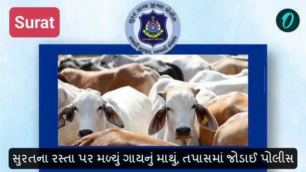 Surat: સુરતના રસ્તા પર મળ્યું ગાયનું માથું, તપાસમાં જોડાઈ પોલીસ