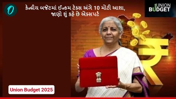 Union Budget 2025: કેન્દ્રીય બજેટમાં ઈન્કમ ટેક્સ અંગે 10 મોટી આશા, જાણો શું કહે છે એક્સપર્ટ
