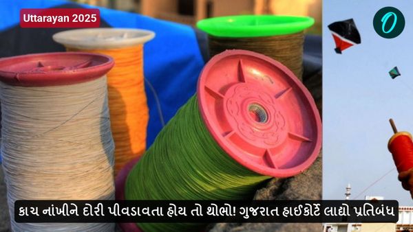 કાચ નાંખીને દોરી પીવડાવતા હોય તો થોભો! ગુજરાત હાઈકોર્ટે લાદ્યો પ્રતિબંધ