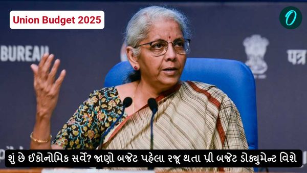 Economic Survey: શું છે ઈકોનોમિક સર્વે? જાણો બજેટ પહેલા રજૂ થતા પ્રી બજેટ ડોક્યુમેન્ટ વિશે