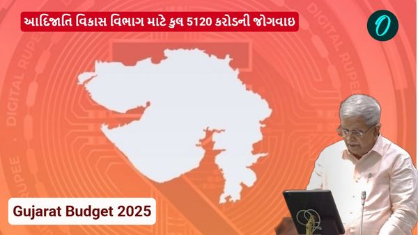 Gujarat Budget 2025: આદિજાતિ વિકાસ વિભાગ માટે કુલ 5120 કરોડની જોગવાઇ