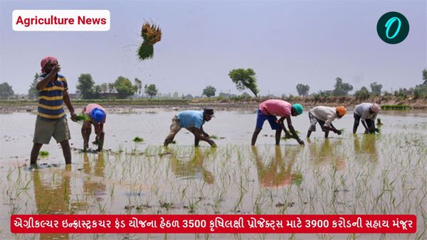 3500 કૃષિલક્ષી પ્રોજેક્ટ્સ માટે 3900 કરોડની સહાય મંજૂર, જાણો ખેડૂતોને કેવી રીતે થશે લાભ?