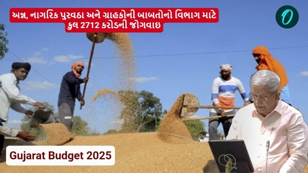 Gujarat Budget 2025: અન્ન, નાગરિક પુરવઠા અને ગ્રાહકોની બાબતોનો વિભાગ માટે કુલ 2712 કરોડની જોગવાઇ