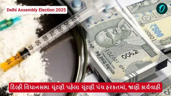 Delhi Assembly Election 2025: દિલ્હી વિધાનસભા ચૂંટણી પહેલા ચૂંટણી પંચ હરકતમાં આવ્યું, જાણો કાર્યવાહી