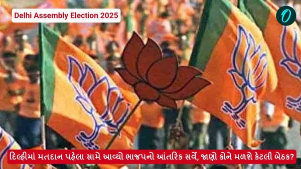 Delhi Assembly Election 2025: દિલ્હીમાં મતદાન પહેલા સામે આવ્યો ભાજપનો આંતરિક સર્વે, જાણો કોને મળશે કેટલી બેઠક?