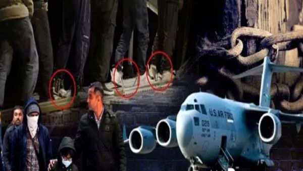 પંજાબ નહીં આ રાજ્યના સૌથી વધુ લોકો અમેરિકાથી થયા છે ડિપોર્ટ, જાણો ક્યા રાજ્યની છે કેટલી સંખ્યા?