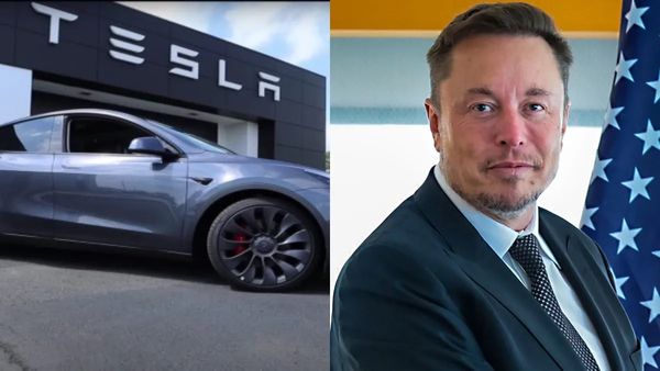 Elon Musk's Tesla: ભારતના આ રાજ્યમાં ટેસ્લાનો પ્લાન્ટ લાગશે, જમીન શોધવાનું શરૂ