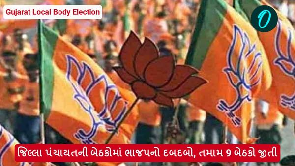 જિલ્લા પંચાયતની બેઠકોમાં ભાજપનો દબદબો, તમામ 9 બેઠકો જીતી