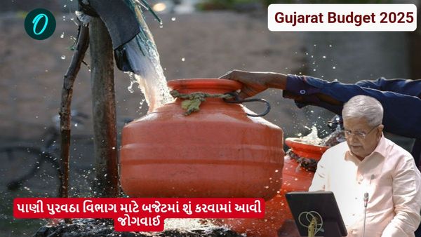 Gujarat Budget 2025: જળસંપત્તિ પ્રભાગ માટે કુલ 13366 કરોડની જોગવાઇ