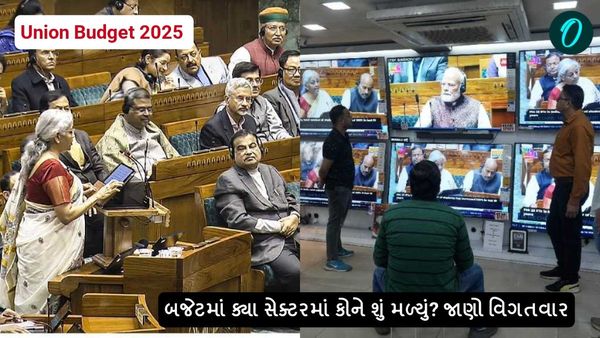 Union Budget 2025: બજેટમાં ક્યા સેક્ટરમાં કોને શું મળ્યું? જાણો વિગતવાર