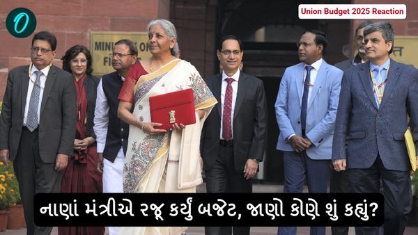 Union Budget 2025 Reaction: નાણાં મંત્રીએ રજૂ કર્યું બજેટ, જાણો કોણે શું કહ્યું?