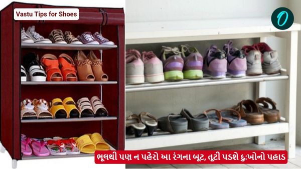 Vastu Tips for Shoes: ભૂલથી પણ ન પહેરો આ રંગના બૂટ, તૂટી પડશે દુ:ખોનો પહાડ