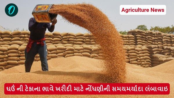Agriculture News: ઘઉં ની ટેકાના ભાવે ખરીદી માટે નોંધણીની સમયમર્યાદા લંબાવાઇ