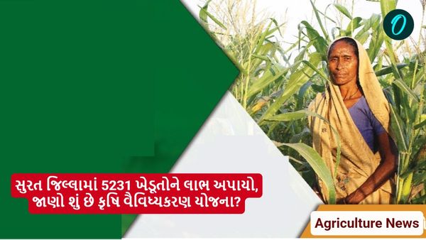 Agricultural Diversification Scheme: સુરત જિલ્લામાં 5231 ખેડૂતોને લાભ અપાયો, જાણો શું છે કૃષિ વૈવિધ્યકરણ યોજના