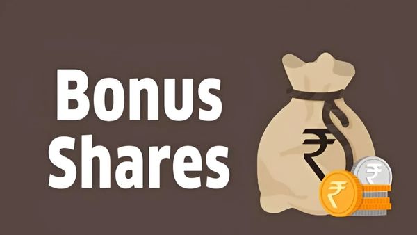 Bouns Shares: આ મલ્ટિબેગર શેર બીજી વખતે આપશે 2 ફ્રી બોનસ શેર, અત્યાર સુધી કંપનીએ આપ્યું છે 100 ટકા રિટર્ન