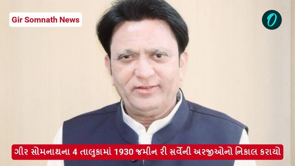 Gir Somnath News: ગીર સોમનાથના 4 તાલુકામાં 1930 જમીન રી સર્વેની અરજીઓનો નિકાલ કરાયો