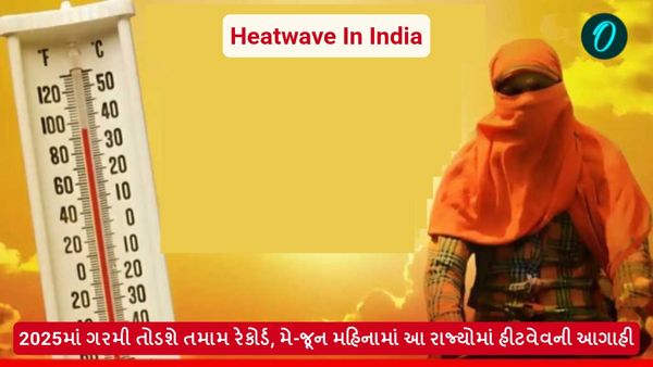 Heatwave In India: 2025માં ગરમી તોડશે તમામ રેકોર્ડ, મે-જૂન મહિનામાં આ રાજ્યોમાં હીટવેવની આગાહી