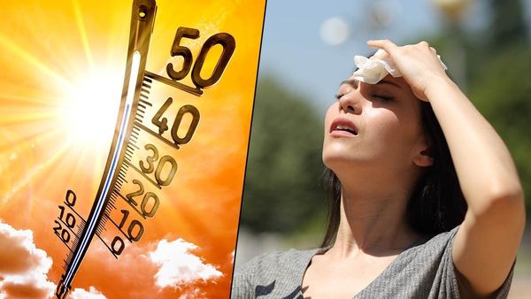 Gujarat Weather Alert : ગુજરાતીઓ હિટવેવ માટે તૈયાર થઈ જાવ, આ રાજ્યોમાં વાવાઝોડા સાથે વરસાદની આગાહી
