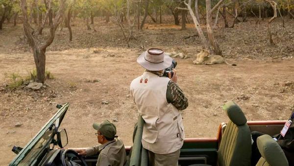 VIDEO:ગીર નેશનલ પાર્કમાં PM મોદીનો જોવા મળ્યો અનોખો અંદાજ, સિંહ દર્શનની પળોને કરી કેમેરામાં કેદ