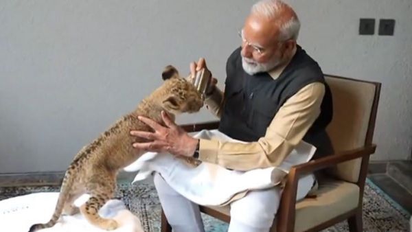 જામનગર: PM મોદીએમાં સિંહબાળને દૂધ પીવડાવ્યું, ગેંડાને ગાજર ખવડાવ્યા, જૂઓ વનતારાની અંદરનો VIDEO