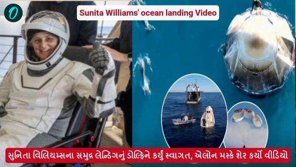 સુનિતા વિલિયમ્સના સમુદ્ર લેન્ડિગનું ડોલ્ફિને કર્યું સ્વાગત, એલોન મસ્કે શેર કર્યો વીડિયો