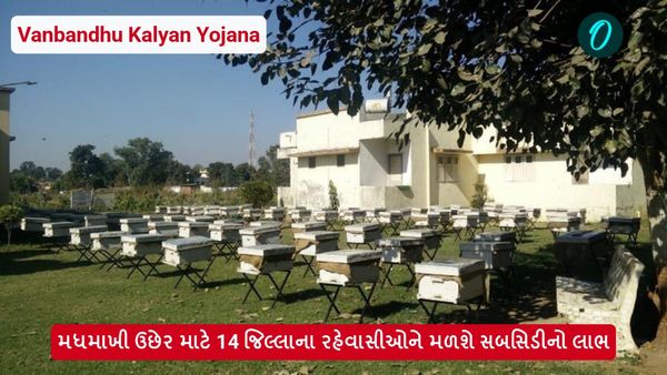 vanbandhu kalyan yojana: મધમાખી ઉછેર માટે 14 જિલ્લાના રહેવાસીઓને મળશે સબસિડીનો લાભ, જાણો કેટલી મળશે સબસિડી