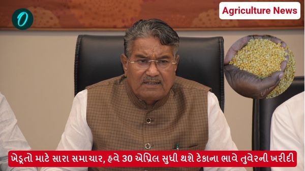 Agriculture News: ખેડૂતો માટે સારા સમાચાર, હવે 30 એપ્રિલ સુધી થશે ટેકાના ભાવે તુવેરની ખરીદી