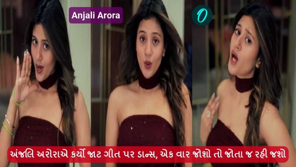 Video: અંજલિ અરોરાએ કર્યો જાટ ગીત પર ડાન્સ, એક વાર જોશો તો જોતા જ રહી જશો