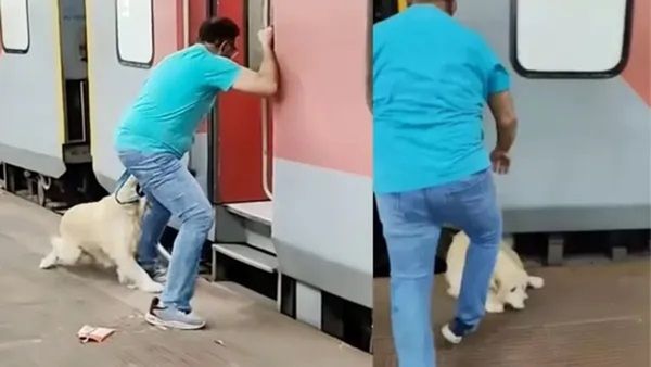 Dog Viral Video: પાળતુ શ્વાનને ચાલતી ટ્રેનમાં ચઢવવા જતા દુર્ઘટના, વીડિયો જોઈને તમે હચમચી જશો