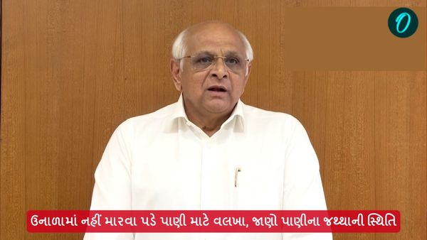 ઉનાળામાં નહીં મારવા પડે પાણી માટે વલખા, જાણો પાણીના જથ્થાની સ્થિતિ
