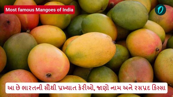 આ છે ભારતની સૌથી પ્રખ્યાત કેરીઓ, જાણો નામ અને રસપ્રદ કિસ્સા