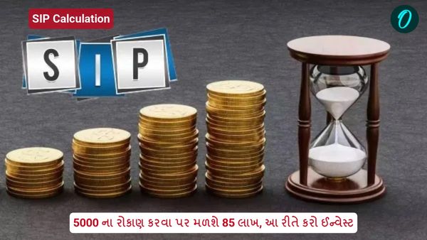5000 ના રોકાણ કરવા પર મળશે 85 લાખ, આ રીતે કરો ઈન્વેસ્ટ