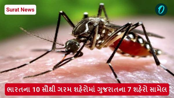 Surat News: મચ્છરનો ઉપદ્રવ સમાપ્ત કરશે ડ્રોન, જાણો સુરત મહાનગરપાલિકની નવી ટેકનોલોજી