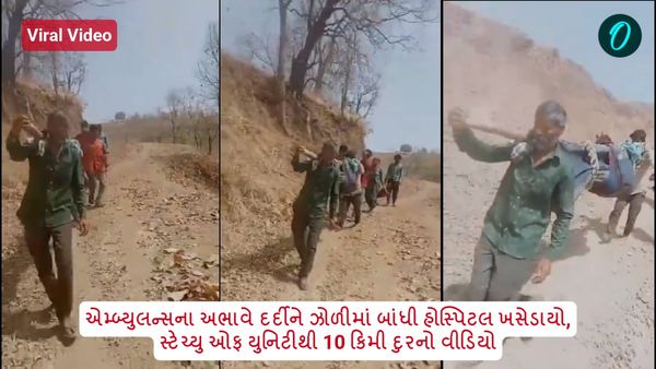 Viral Video: વિકસિત ગુજરાતના દાવા પોકળ, એમ્બ્યુલન્સના અભાવે દર્દીને ઝોળીમાં બાંધી હોસ્પિટલ ખસેડાયો