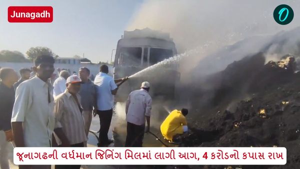 Junagadh: જૂનાગઢની વર્ધમાન જિનિંગ મિલમાં લાગી આગ, 4 કરોડનો કપાસ રાખ