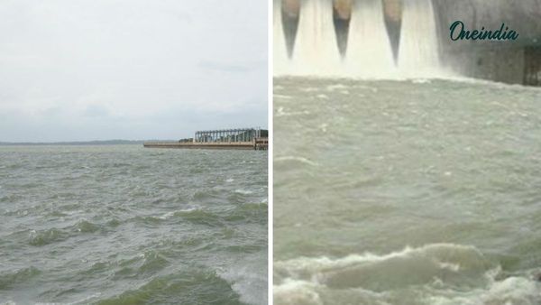 Gujarat: રાજ્યમાં અત્યાર સુધીમાં સિઝનનો ઉત્તર ગુજરાતમાં સૌથી ઓછો વરસાદ નોંધાયો, 207 માંથી 41 ડેમ હાઈ એલર્ટ પર