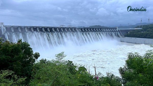 ગુજરાતમાં અત્યાર સુધીમાં સરેરાશ 54 ટકાથી વધુ જળ સંગ્રહ, જાણો સરદાર સરોવર સહિત રાજ્યના કુલ 207 જળાશયોની સ્થિતિ