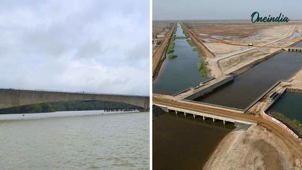 ગુજરાતમાં નર્મદા કેનાલ પરના 36 પુલોને તાત્કાલિક બંધ કરવાનો આદેશ, પાંચ પુલ સંપૂર્ણપણે બંધ કરાયા