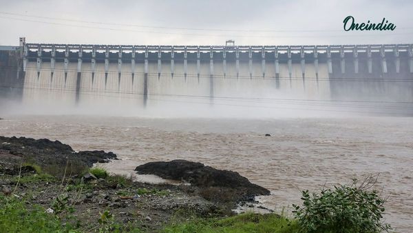 ગુજરાતની જીવાદોરી સમાન સરદાર સરોવર ડેમમાં 59.42% જળસંગ્રહ થયો, જાણો રાજ્યના જળાશયોની સ્થિતિ