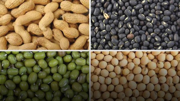 ખેડૂતો માટે મહત્વના સમાચાર: સરકાર ટેકાના ભાવે કરશે ખરીફ પાકની ખરીદી, જાણો વિગત